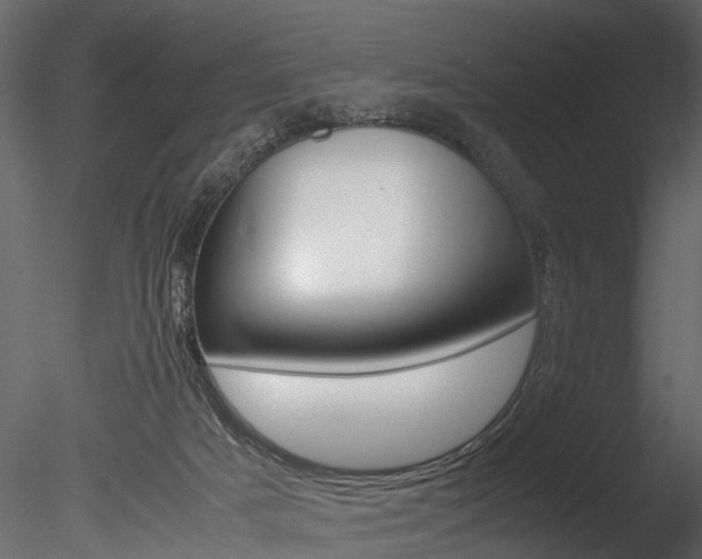 X0000085780025200703161011