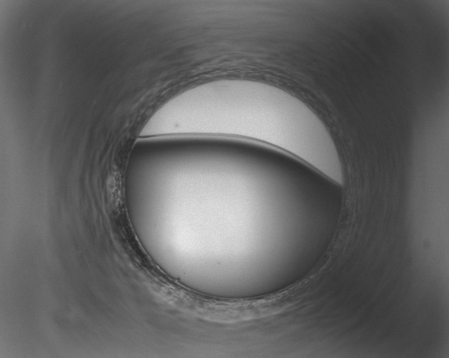 X0000085780029200703161011