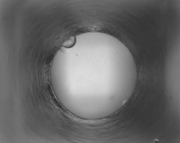 X0000085780030200703161011
