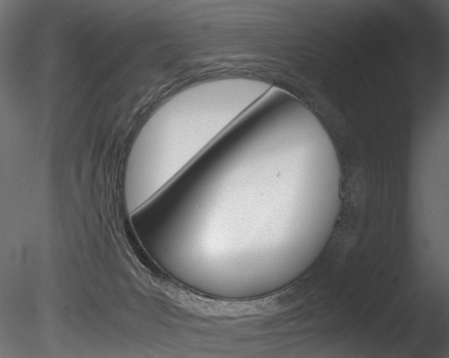 X0000085780031200703161011