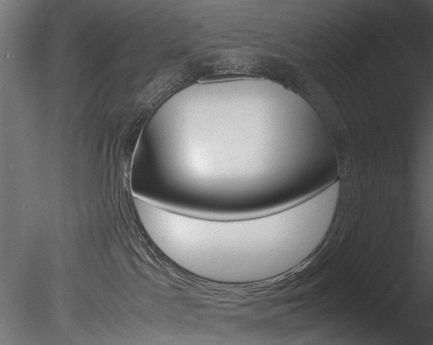 X0000085780045200703161011