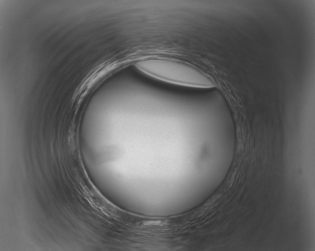 X0000085780050200703161010
