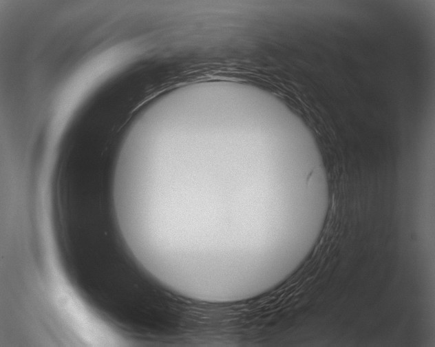 X0000085780052200703161010