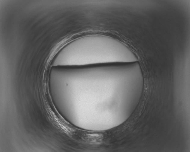 X0000085780053200703161010