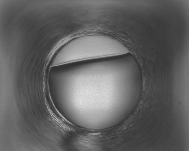 X0000085780054200703161010