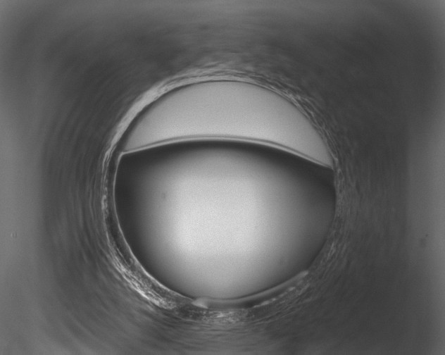X0000085780056200703161010