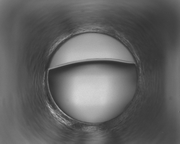 X0000085780058200703161010