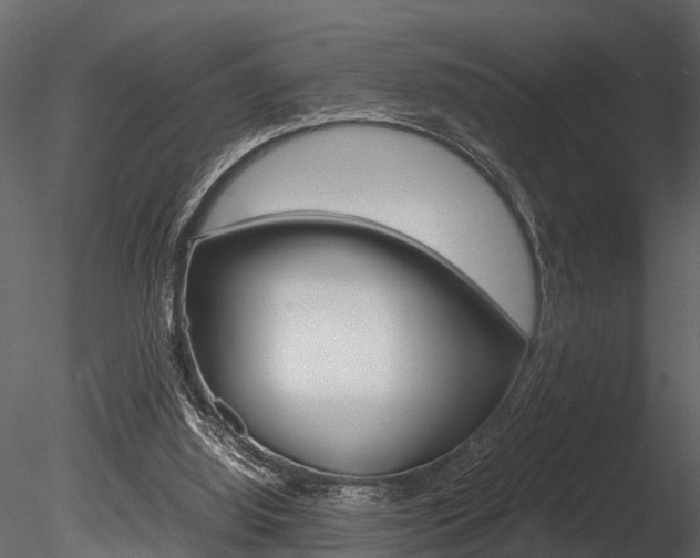 X0000085780060200703161010