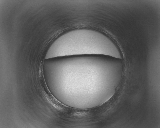 X0000085780065200703161010