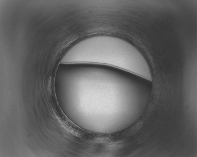 X0000085780066200703161010