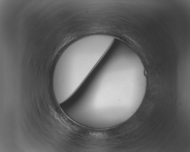X0000085780067200703161010