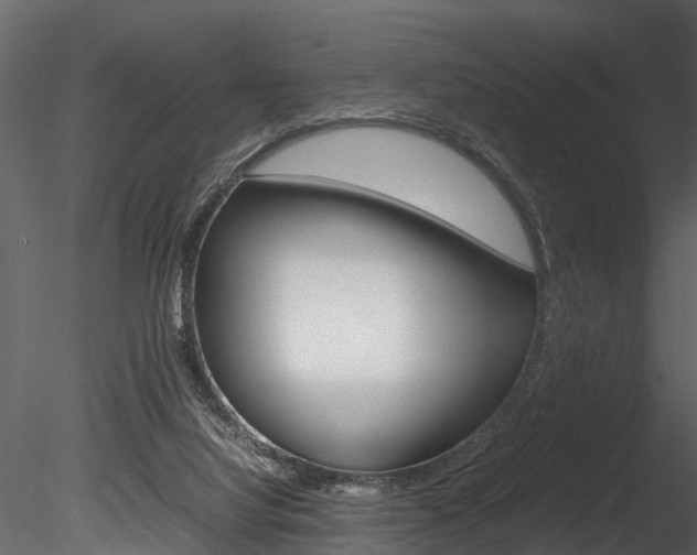 X0000085780068200703161011