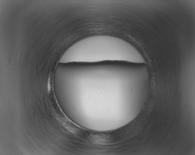 X0000085780069200703161011