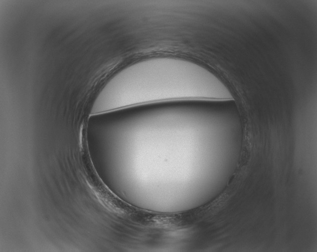 X0000085780070200703161011