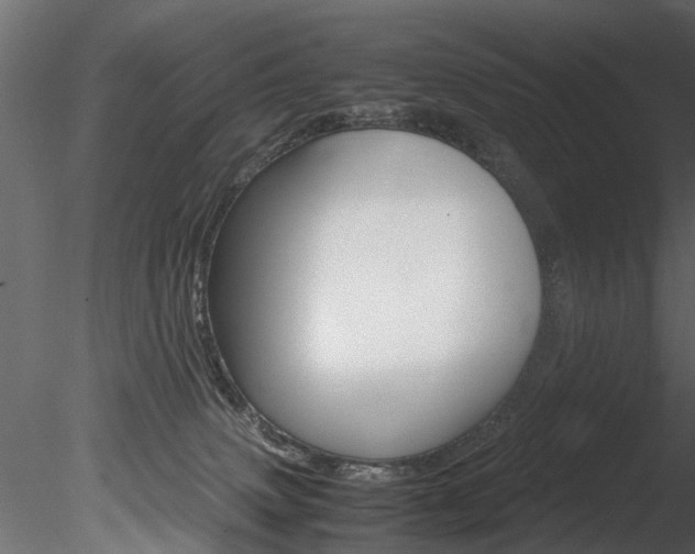 X0000085780083200703161011