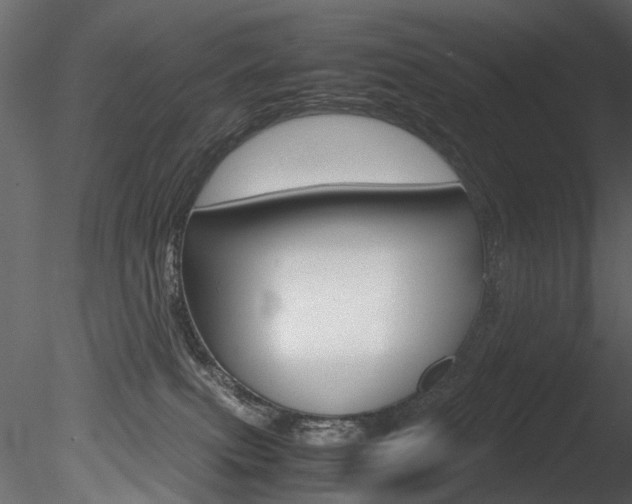 X0000085780087200703161011