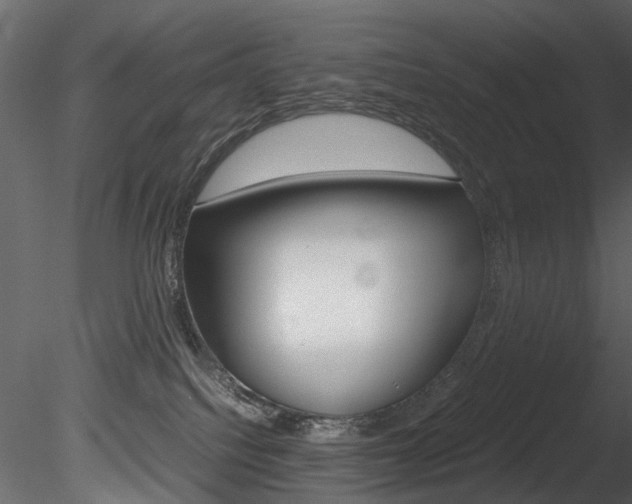 X0000085780088200703161011