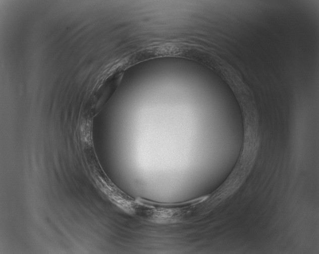 X0000085780096200703161011
