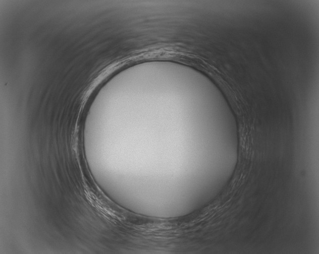 X0000085780100200703161010