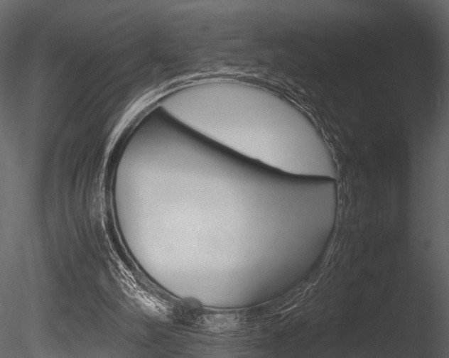X0000085780102200703161010