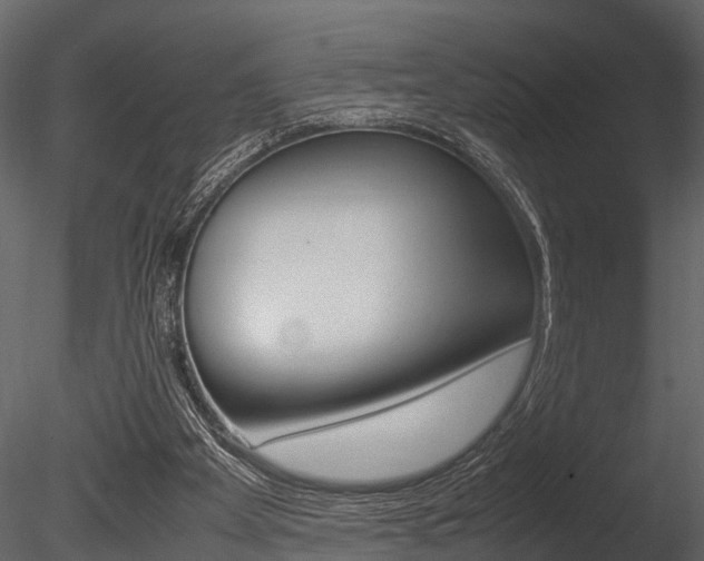 X0000085780105200703161010