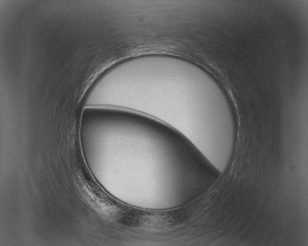 X0000085780107200703161010