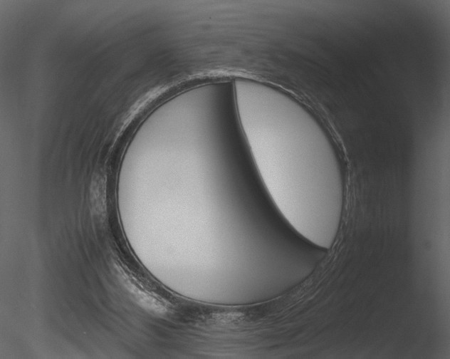 X0000085780108200703161010