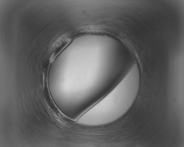 X0000085780109200703161010
