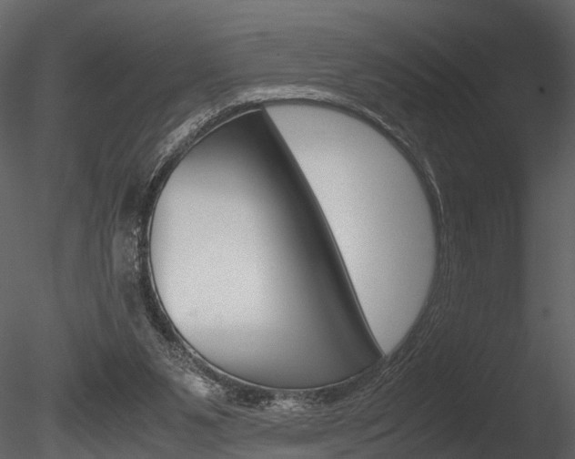 X0000085780111200703161010