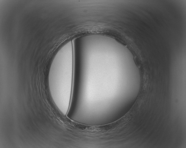 X0000085780113200703161010