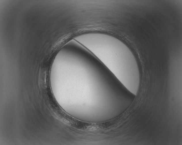 X0000085780115200703161010