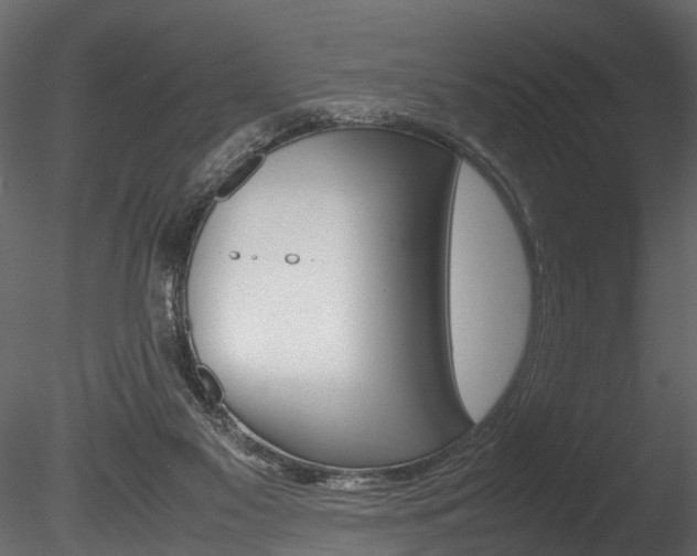 X0000085780117200703161010