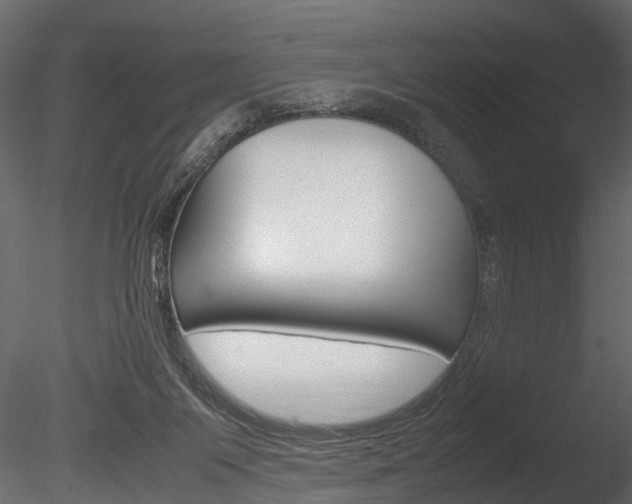 X0000085780119200703161010