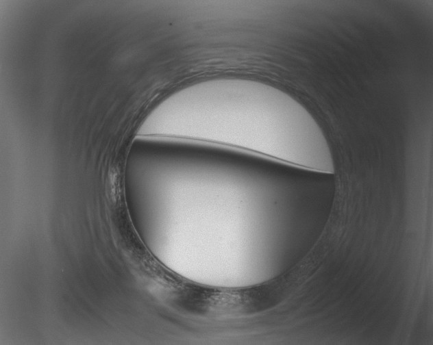 X0000085780123200703161010