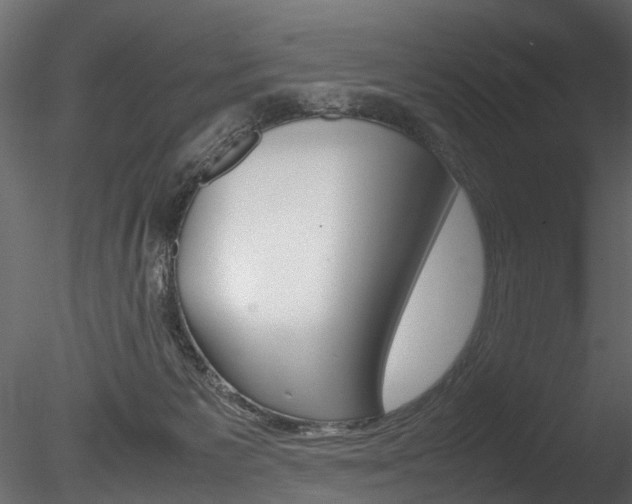 X0000085780125200703161010