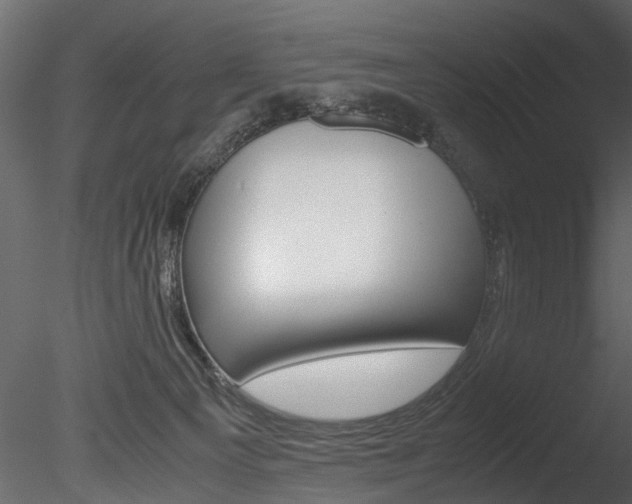 X0000085780129200703161010