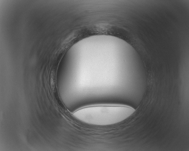 X0000085780131200703161010