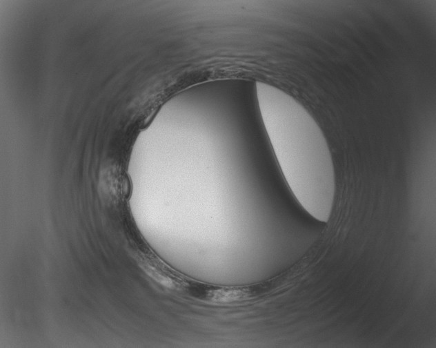 X0000085780135200703161010