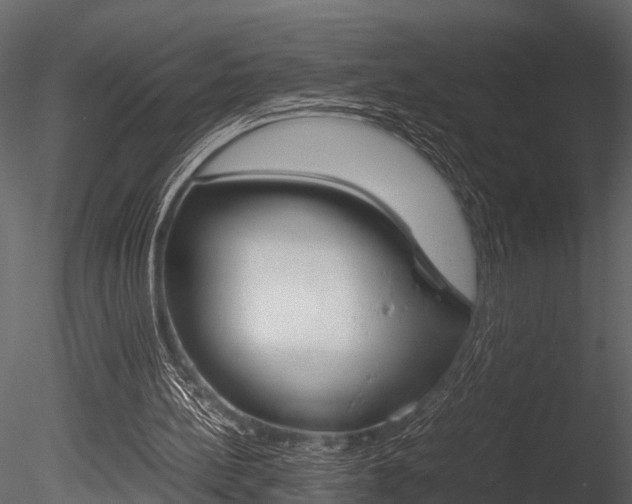X0000085780148200703161009
