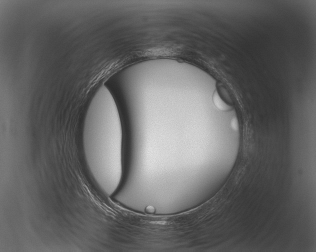 X0000085780153200703161009