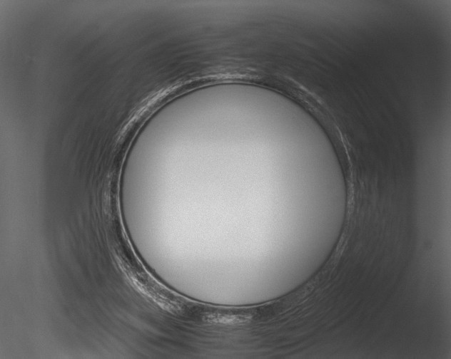 X0000085780155200703161009