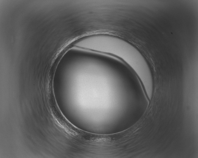 X0000085780156200703161009