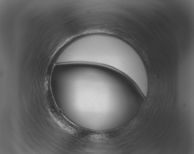X0000085780160200703161009