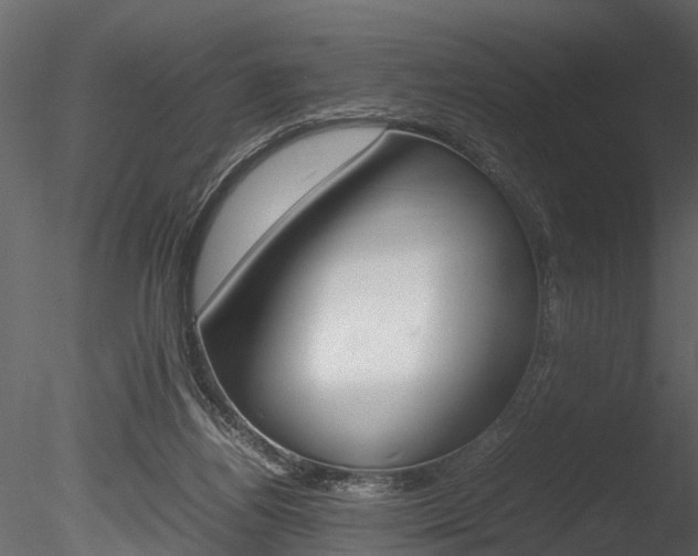X0000085780164200703161009