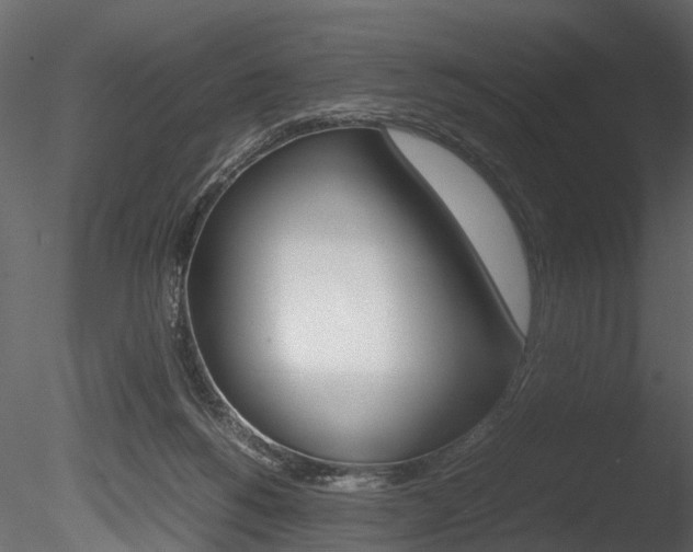X0000085780168200703161009