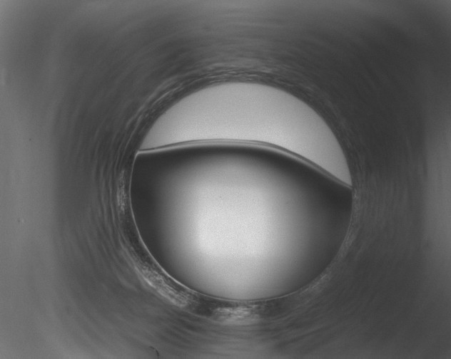 X0000085780170200703161009