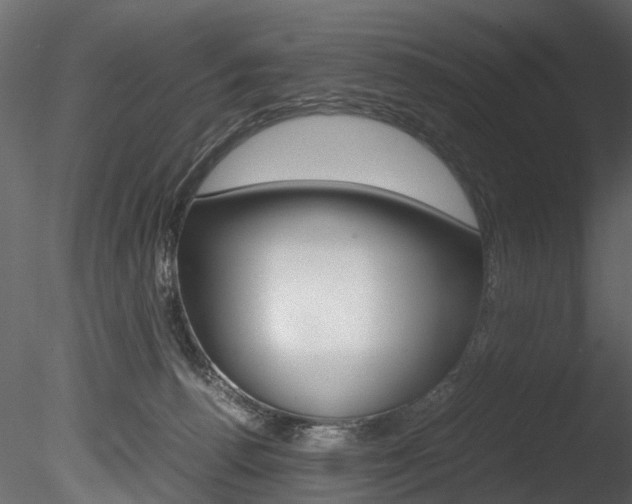 X0000085780176200703161009