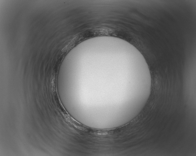 X0000085780177200703161009