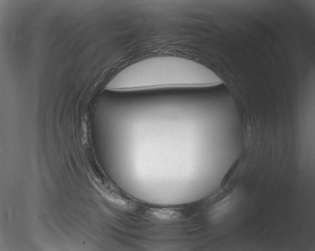 X0000085780183200703161009