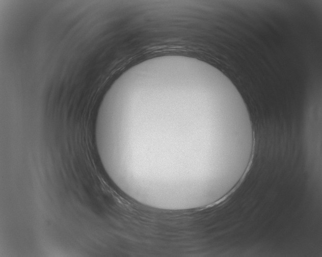 X0000085780190200703161009